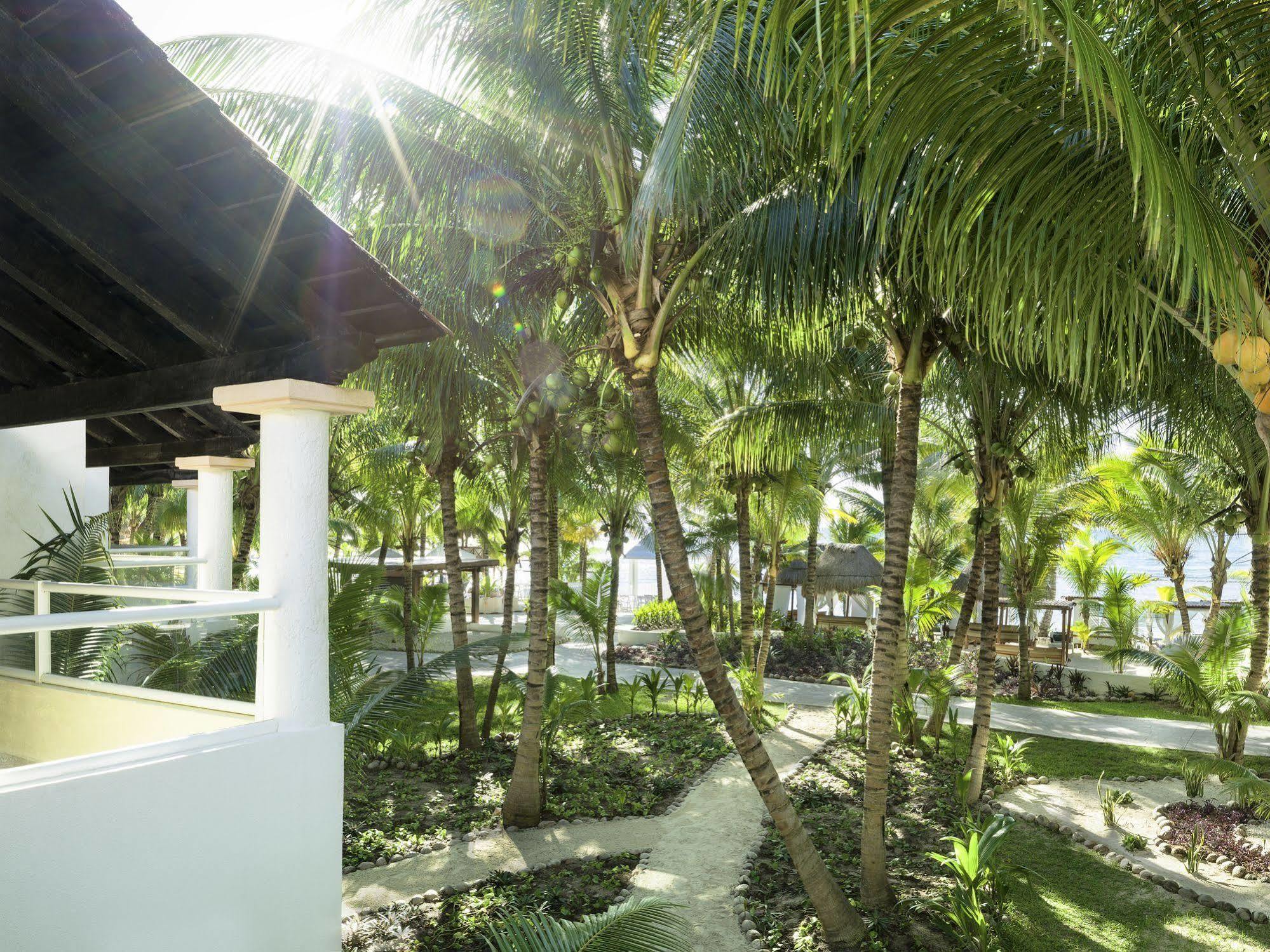 מלון Xetna El Dorado Seaside Palms Adults Only מראה חיצוני תמונה